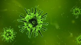 Fakta Paling Baru Genetik Norovirus yang Mirip Corona di China
