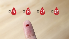 Dianggap Kebal Covid-19, Golongan Darah O Lebih Rentan Terkena Demam Berdarah