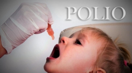 Fakta-fakta Poliovirus yang Berbahaya Bagi Manusia Karena Menyerang Sistem Saraf