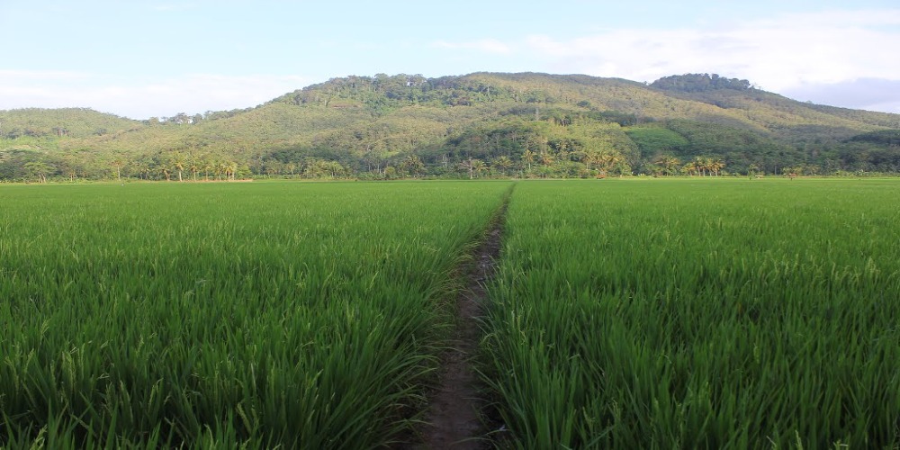 Cerita Mistis di Gunung Sangkur Banjar, Angker dan Dipercaya Tempat Kerajaan Jin