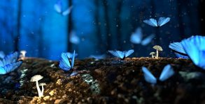 Arti Sebenarnya Mimpi Melihat Kupu-kupu Masuk Rumah, Benarkah Pertanda Datangnya Tamu?