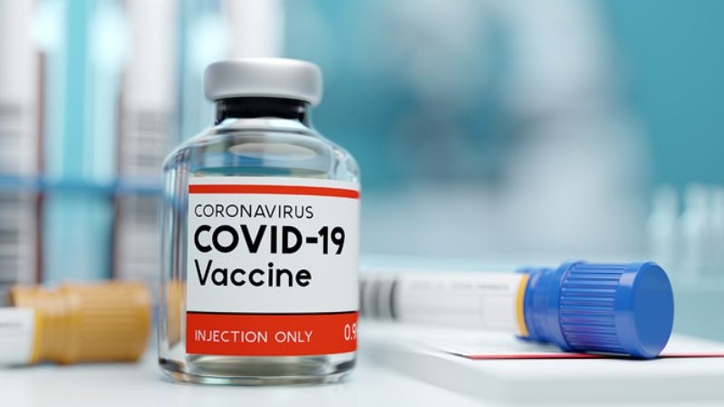 Disebut Efektif Lawa  Virus Corona, Vaksin Covid-19 Buatan Denmark Diuji Coba Pada Cerpelai