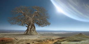 Arti Sebenarnya Mimpi Melihat Pohon Raksasa yang Mungkin Pernah Anda Alami
