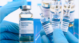 Perkembangan Vaksin Merah Putih, Siap Diuji Klinis di Akhir Tahun