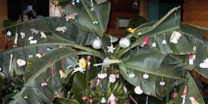 Sudah Tahu? Ini 5 Tradisi Unik Natal di Dunia, Salah Satunya Pohon Pisang Sebagai Pohon Natal