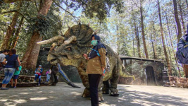 Fakta-fakta Dinosaurus Centrosaurus yang Ditarik Petugas di Jawa Timur