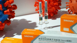 Vaksin Sinovac Efektif Cegah Virus Corona