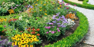 5 Tanaman Hias Punya Bunga Cantik dan Penuh Warna, Cocok Menghias Halaman Rumah