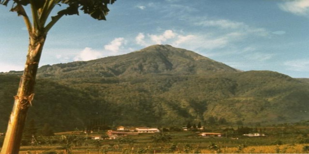 Cerita Misteri Jelmaan Burung Jalak di Gunung Lawu, Konon Jadi Penunjuk Jalan Bagi Pendaki yang Tersesat