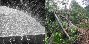 Fakta-fakta Hujan Deras dan Angin Kencang Terjadi di Sleman, Puluhan Pohon Tumbang 