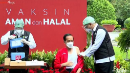Fakta Jokowi Mengenakan Singlet saat Disuntik Vaksin Covid-19, Untuk Memudahkan Vaksinator