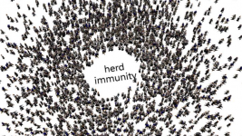 Pemerintah Targetkan Herd Immunity Tercapai Paling Lambat April 2022