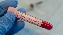 Fakta Wabah Ebola Kembali Bangkit di Tengah Pandemi Covid-19 Menurut WHO, Enam Negara Terdeteksi