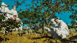 Carut Marut Anggota DPRD dan Relawan Pemakaman Covid-19 di DIY, Disebut Seperti Memakamkan Hewan