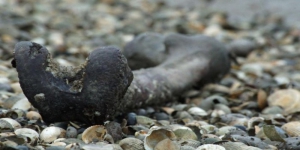 Cerita Mistis Pulau Deadman Island Penuh dengan Tulang Manusia di Inggris