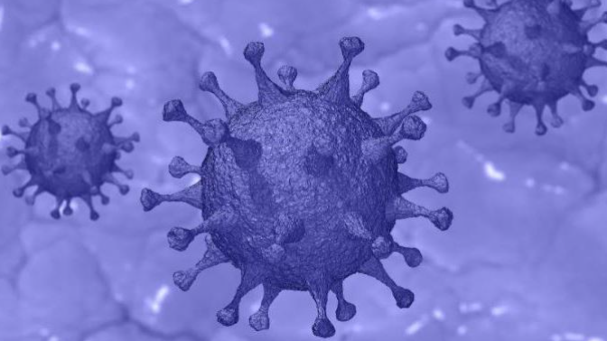 Fakta-fakta Virus Corona Inggris B117 Menurut Prof. dr. Zubairi Djoerban