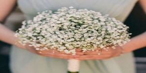 Cantik Banget! 6 Jenis Tanaman Hias Bunga ini Sering Dijadikan Buket Pernikahan