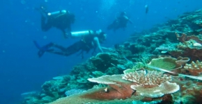 Alasan Pemerintah Izinkan Asing Cari Harta Karun di Dasar Laut Indonesia