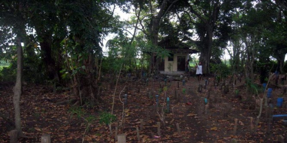 Cerita Misteri Makam Kemangi di Desa Jungsemi, dari Banyak Orang Tersesat hingga Pohon Misterius