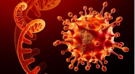 Fakta-fakta Mutasi Virus Corona E484K, Diprediksi Kebal Terhadap Vaksin