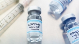 WHO Izinkan Vaksin Corona Moderna Bisa Digunakan untuk Keadaan Darurat