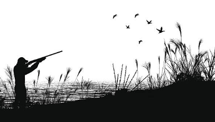 Arti Sebenarnya Mimpi Menembak Burung Menurut Primbon Jawa yang Harus Anda Tahu