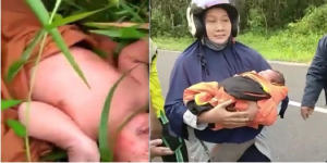Masya Allah, Warga Temukan Bayi Dibuang Ibunya Masih Hidup di Semak-Semak Berduri di Kalimantan Tengah, Ini Videonya