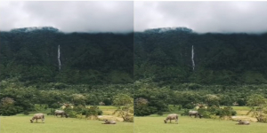 Viral Video Pemandangan Bukit Beta di Samosir, Netizen: Kayak Mimpi Sangking Bagusnya