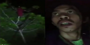 Viral Video Penampakan Kuntilanak Merah di Pohon, Netizen Malah Ngaku Lihat Muka Perekam Lebih Horor