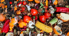 Indonesia Penghasil Sampah Makanan Terbesar Kedua di Dunia, 48 Juta Ton Tiap Tahun