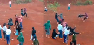 Ini Video Lengkap Perkelahian Massal Gadis di Depok yang Viral, Netizen Sebut Kaya Atlet Martial Arts