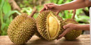 Daftar Makanan dan Minuman Ini Jangan Kamu Konsumsi Bersama Durian