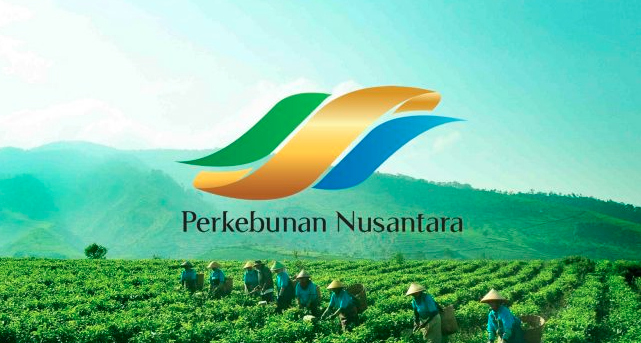 Lakukan Transformasi Bisnis, PT Perkebunan Nusantara Untung Rp 1,45 T