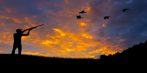 Arti Sebenarnya Mimpi Melihat Orang Menembak Burung Menurut Primbon Jawa, Pertanda Datangnya Kesusahan