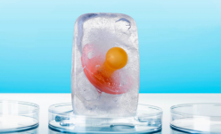 Mangenal Egg Freezing, Pembekuan Sel Telur yang Dilakukan Luna Maya