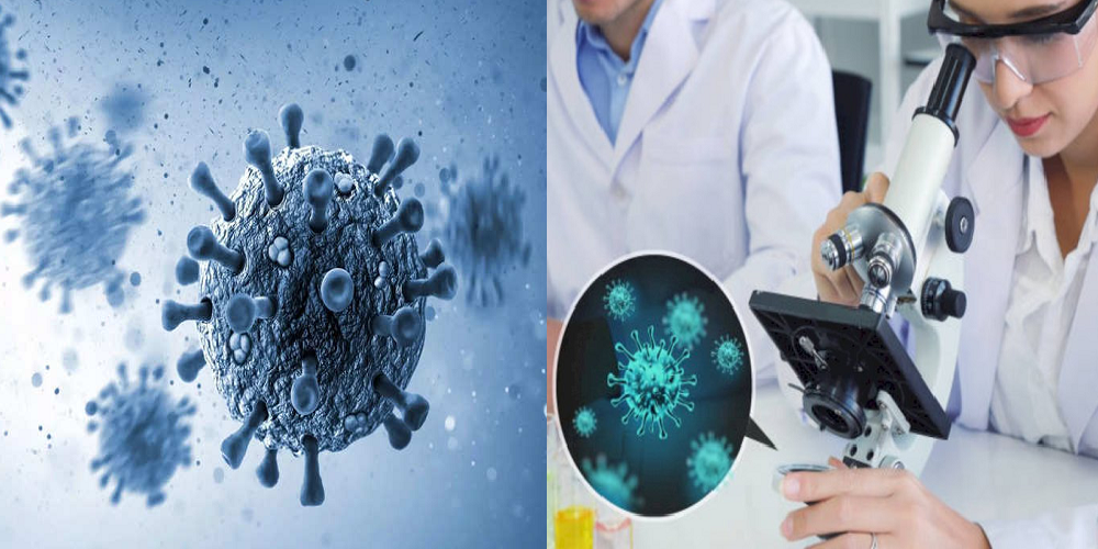 Fakta Lengkap NeoCov, Virus Varian Baru Covid yang Diklaim Ilmuan China 