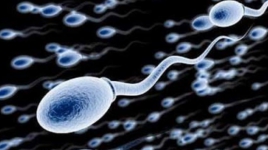Tagar #Sperma Sempat Menggema di Jagat Media, Ada Apa Ya?