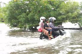 Walhi Peringatkan Potensi Bencana Ekologis di Jawa dan Kalimantan