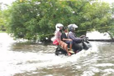 Walhi Peringatkan Potensi Bencana Ekologis di Jawa dan Kalimantan