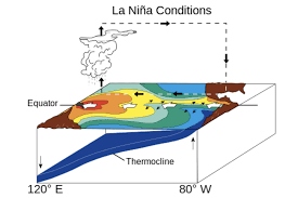 Curah Hujan di Indonesia Dipengaruhi La Nina, Ini Prediksi Ke Depan