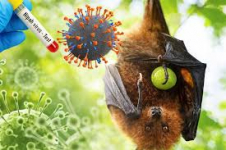 Pakar BRIN Jelaskan Mekanisme Penyebaran Virus Nipah