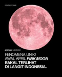 Fenomena Pink Moon 2026: Mitos, Makna, dan Penjelasan Sains