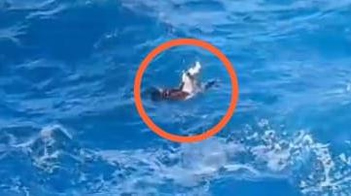 Tragis, Remaja 17 Tahun Meninggal Setelah Terjatuh ke Laut Saat Berfoto di Apparalang