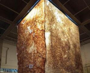 Pameran “Lesap” Bikin Heboh! Aroma Sampah dan Jamur Jadi Sorotan di Galeri ROH
