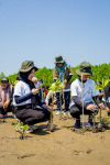 Semangat Gen Z dalam Rehabilitasi Mangrove Program TERA: Kolaborasi Global Selamatkan Bumi