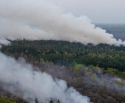 Karhutla Meluas di Kalimantan, Asap Tebal Mulai Ganggu Aktivitas Penerbangan