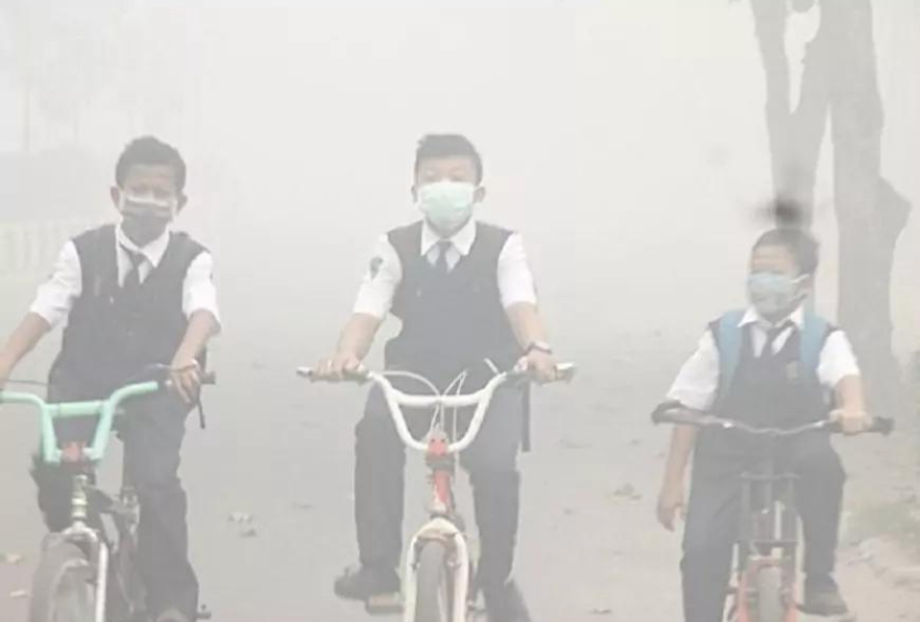Kabut Asap Karhutla Selimuti Kalimantan, Warga Mulai Batasi Aktivitas