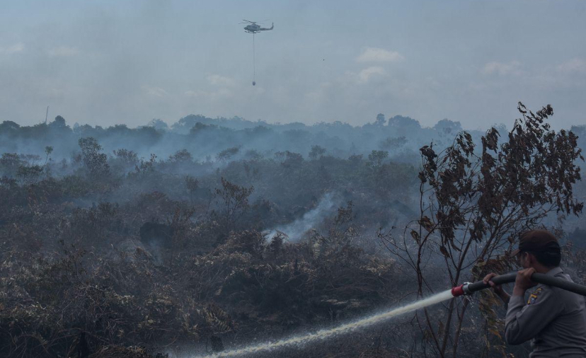 Hujan Deras Bantu Padamkan Karhutla di Bengkalis, Tim Gabungan Tetap Siaga