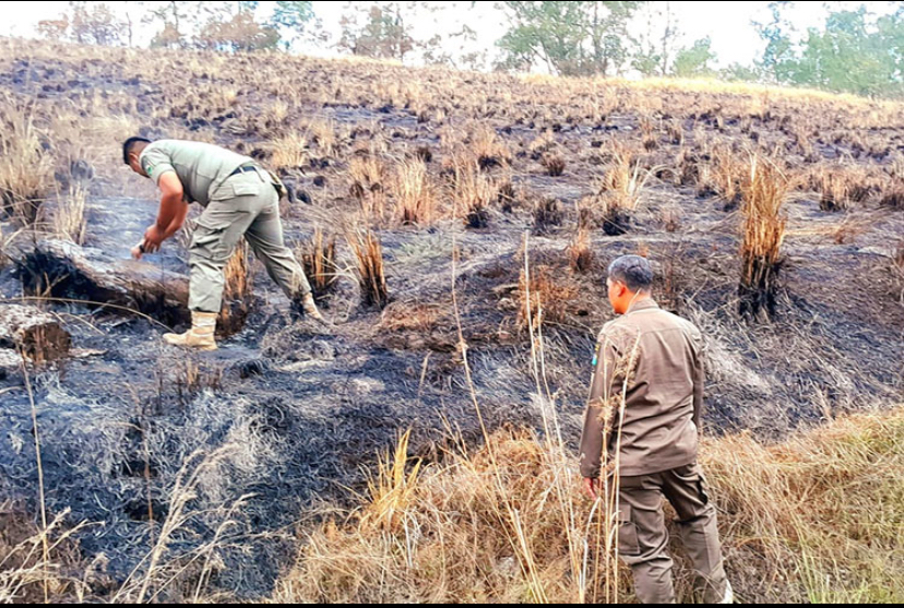 Karhutla Hanguskan 10 Hektare Kawah Wurung Bondowoso, Api Berhasil Dipadamkan