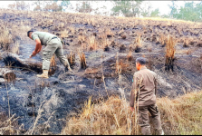 Karhutla Hanguskan 10 Hektare Kawah Wurung Bondowoso, Api Berhasil Dipadamkan